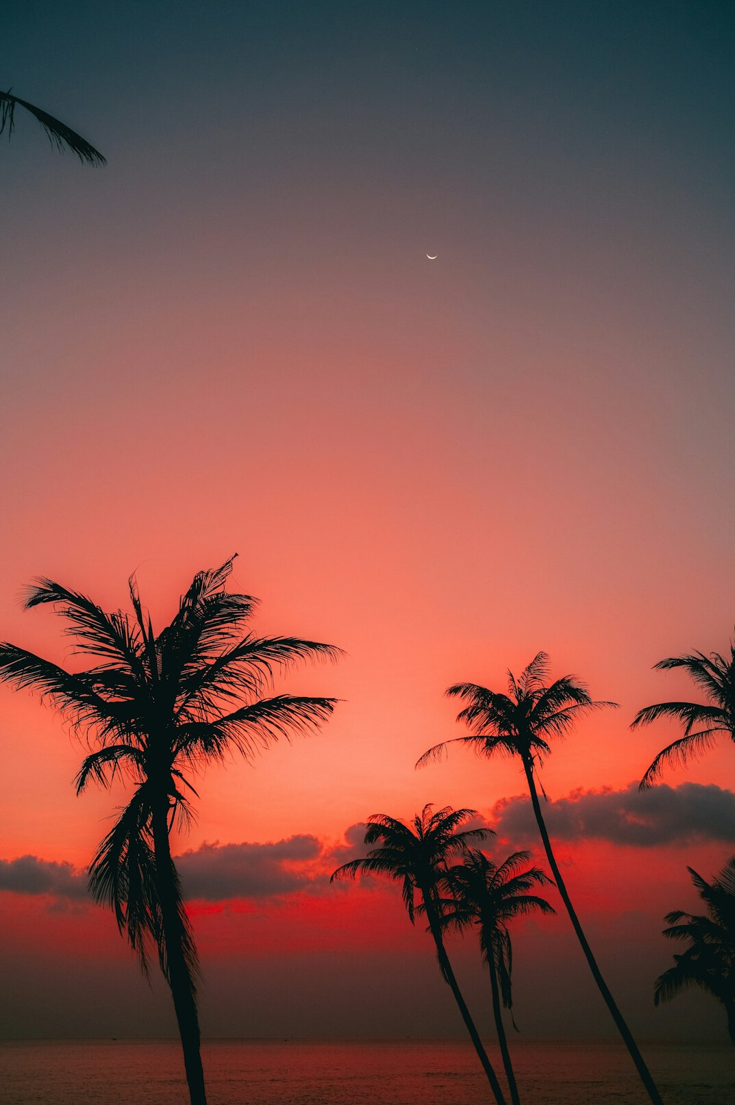 tropical beach sunset