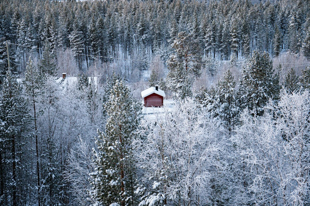 forest cabin scandinavia